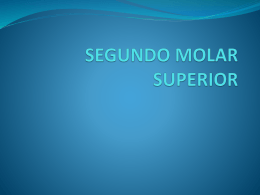 segundo_molar_superi..