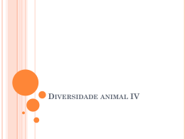 Diversidade animal IV
