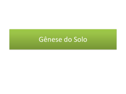 Gênese do solo