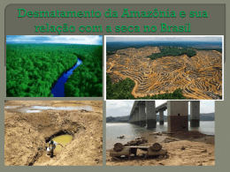 desmatamento-da-amazania-e-sua-relaaao-com-a