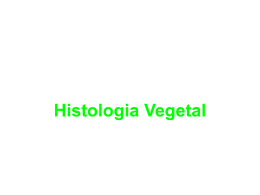 Histologia vegetak (1689351)