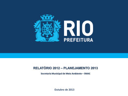Relatório 2012 - Planejamento 2013