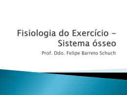 Sistema Ósseo – C/ Felipe.