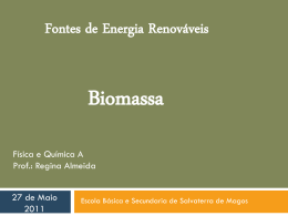 Fontes de Energia Renov&aacute;veis Biomassa