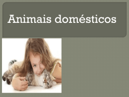 Animais dom&eacute;sticos karen