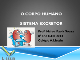 Ecossistema e biosfera O que são?