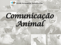 Comunicação Animal