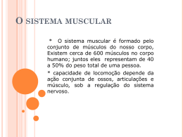 O sistema muscular