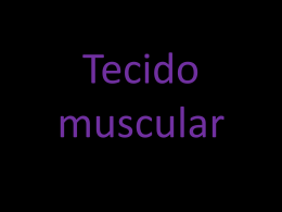 Sistema muscular - Curso e Colégio Acesso