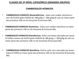CLASSES DO 3º NÍVEL CATEGÓRICO (GRANDES GRUPOS)