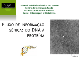 Fluxo de informa&ccedil;&atilde;o g&ecirc;nica: do DNA &agrave; prote&iacute;na