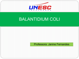 Balantidium coli