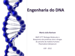 DNA recombinante