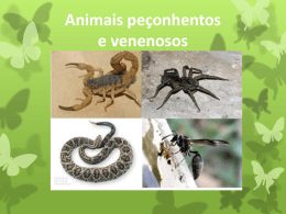 Animais venenosos
