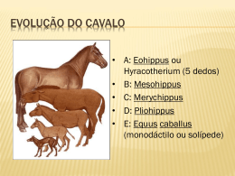 Evolução do Cavalo - Departamento de Zootecnia/ESALQ/USP