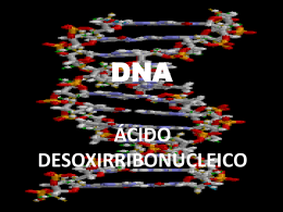 DNA