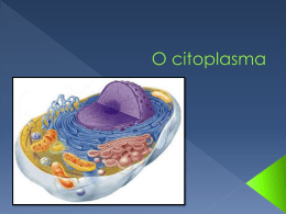 O citoplasma