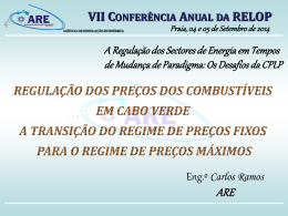 APRESENTA&Ccedil;&Atilde;O DO SECTOR DE COMBUST&Iacute;VEIS