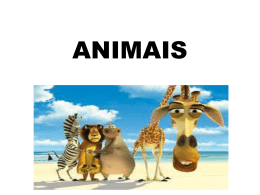 ANIMAIS - WordPress.com