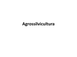agrossilvicultura