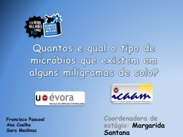 Quantos e qual o tipo de micr&oacute;bios que existem em alguns
