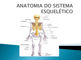 0000159_3&ordf; aula ANATOMIA DO SIST. ESQUEL&Eacute;TICO AXIAL