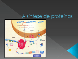 A síntese de proteínas