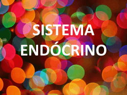 O Sistema Endócrino