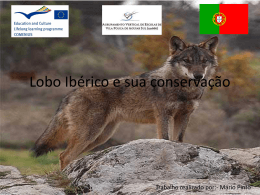 O lobo e a sua conservação em Portugal