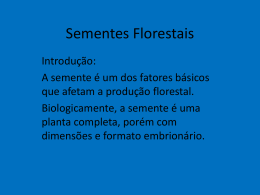 Sementes Florestais 3&ordf; aula