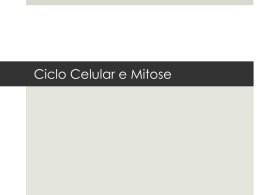 Aula 05 - Ciclo Celular e Mitose