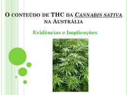 O conteúdo de THC da Cannabis sativa na Austrália