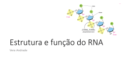 Estrutura e função do RNA * transcrição e tradução