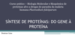 Síntese protéica: do gene a proteína