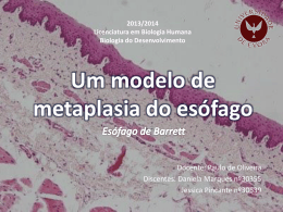 Diapositivo 1 - Biologia do Desenvolvimento 2014