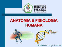 A&ccedil;&atilde;o