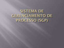 sistema de gerenciamento de processo (sgp)
