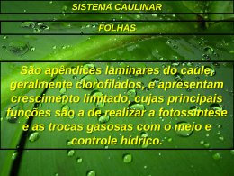 foha