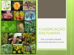 CLASSIFICAÇÃO DAS PLANTAS