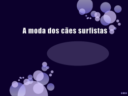 A moda dos c&atilde;es surfistas
