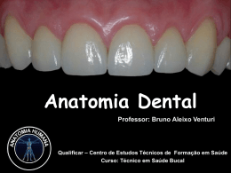 Dentição decídua - www.portaldoaluno.bdodonto.com.br