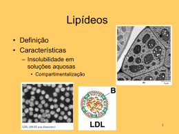 Lipídeos - anacbioquimica