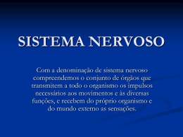 sistema nervoso