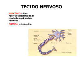 célula nervosa especializada na condução dos impulsos nervosos