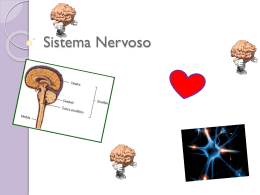 Sistema Nervoso pt.1 (679921)