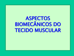 ASPECTOS BIOMECÂNICOS DO TECIDO MUSCULAR VII. Estrutura