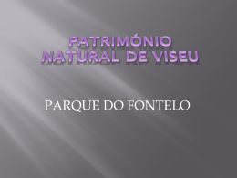 Patrim&oacute;nio Natural de Viseu