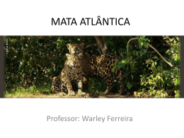 MATA ATLÂNTICA - biologiapravoce