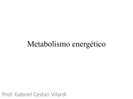 Metabolismo energético - Fermentação