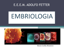 embriologia Adolfo Fetter (2144092)